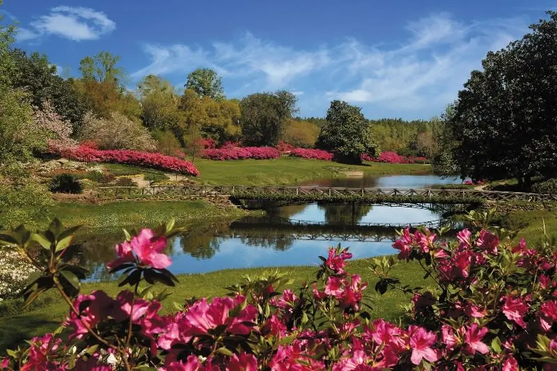 Bellingrath Gardens and Home-Things to do in Mobile Alabama