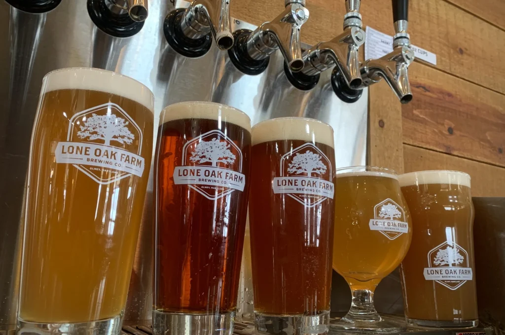 Sample local craft beer at Oak Hills Brewing Company