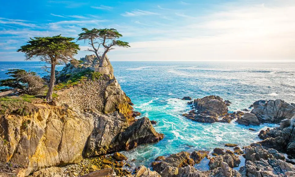 See the Sights of 17-Mile Drive- Best Things to Do in Monterey CA