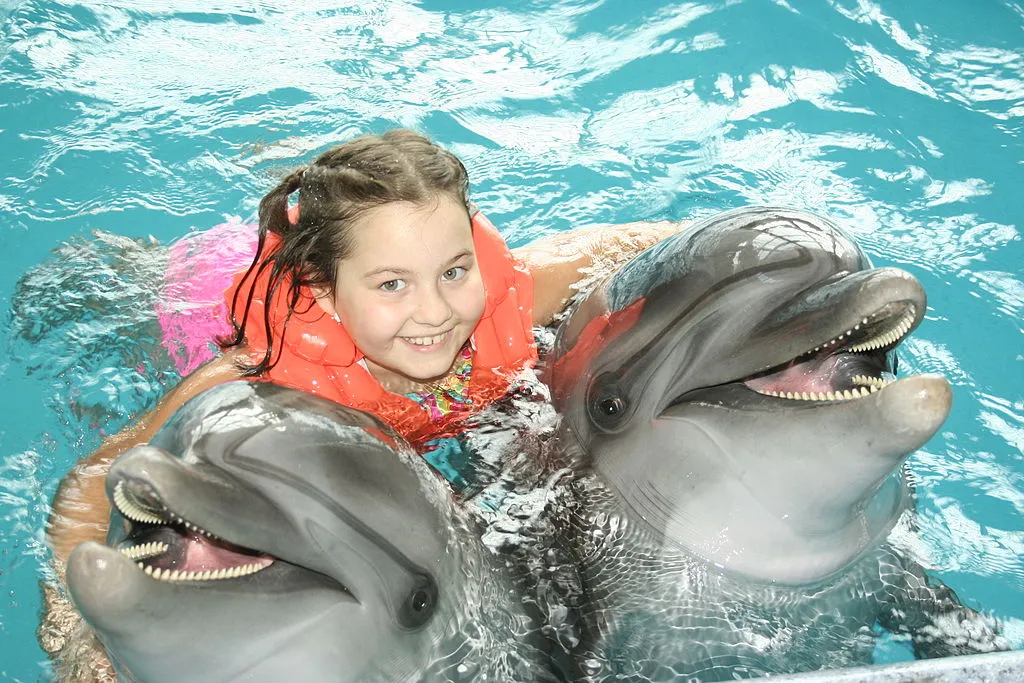 Go dolphin watching in the Gulf of Mexico